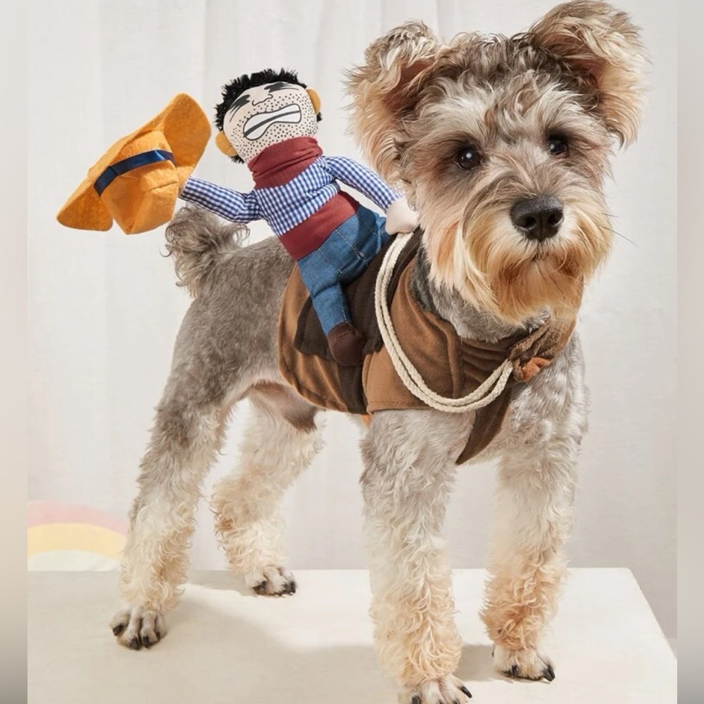 Cowboy One Piece Costume